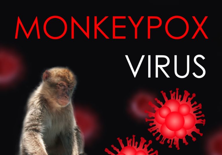 Germania: primul caz de variolă a maimuțelor confirmat în Saxonia-Anhalt