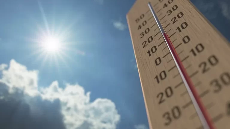 Primăvara în Germania – termometrele vor arăta până la 20 de grade! Va continua vremea caldă și în următoarele săptămâni?